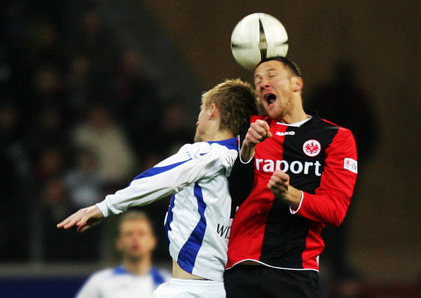 年或具有巨 年或具有巨